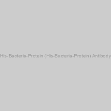 Image of His-Bacteria-Protein (His-Bacteria-Protein) Antibody